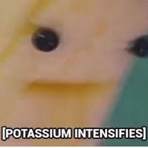 Meet your Posher, Max